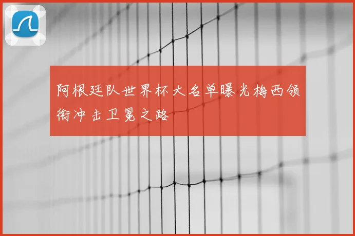 阿根廷队世界杯大名单曝光梅西领衔冲击卫冕之路