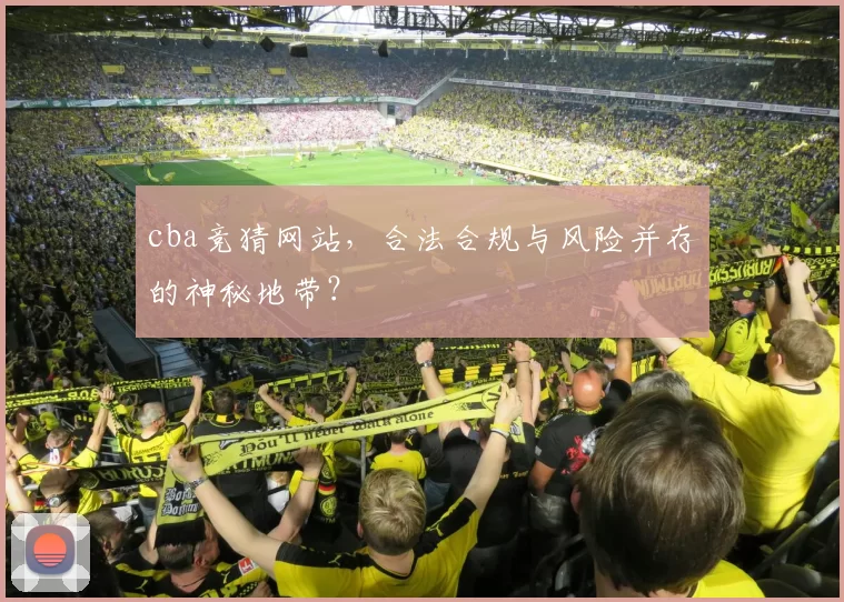 cba竞猜网站,合法合规与风险并存的神秘地带?