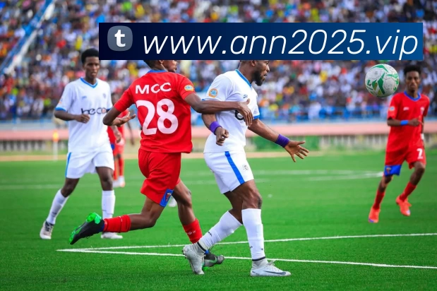 App Interface Preview